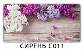 Стол раздвижной Трилогия с фотопечатью Лайм R156 в Полевском - polevskoy.mebel24.online | фото 16
