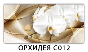 Стол раздвижной Трилогия с фотопечатью Орхидея R041 в Полевском - polevskoy.mebel24.online | фото 13