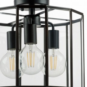 Светильник на штанге Lightstar Genni 798237 в Полевском - polevskoy.mebel24.online | фото 4