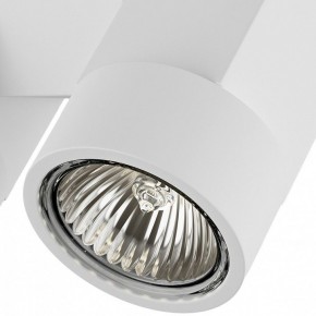 Светильник на штанге Lightstar Illumo X2 051036 в Полевском - polevskoy.mebel24.online | фото 2