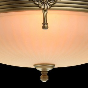 Светильник на штанге MW-Light Афродита 1 317011504 в Полевском - polevskoy.mebel24.online | фото 5