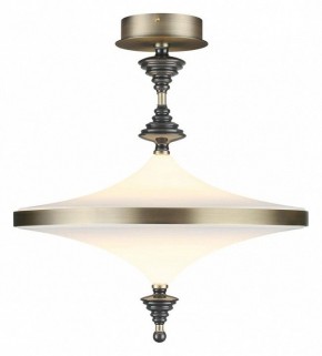 Светильник на штанге Odeon Light Ula 5404/43CL в Полевском - polevskoy.mebel24.online | фото 2