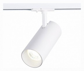 Светильник на штанге ST-Luce Mono ST350.536.30.36 в Полевском - polevskoy.mebel24.online | фото 2