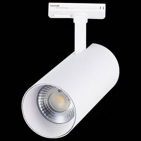 Светильник на штанге ST-Luce Mono ST350.536.30.36 в Полевском - polevskoy.mebel24.online | фото 6