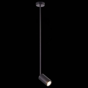 Светильник на штанге ST-Luce Sormano SL1206.403.01 в Полевском - polevskoy.mebel24.online | фото 3
