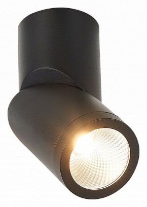 Светильник на штанге ST-Luce ST650 ST650.442.10 в Полевском - polevskoy.mebel24.online | фото 2