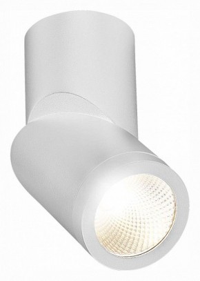 Светильник на штанге ST-Luce ST650 ST650.542.10 в Полевском - polevskoy.mebel24.online | фото 3