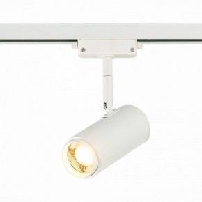Светильник на штанге ST-Luce Zoom ST600.536.12 в Полевском - polevskoy.mebel24.online | фото 2