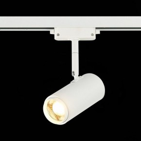 Светильник на штанге ST-Luce Zoom ST600.536.12 в Полевском - polevskoy.mebel24.online | фото 4