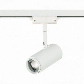 Светильник на штанге ST-Luce Zoom ST600.546.12 в Полевском - polevskoy.mebel24.online | фото 3