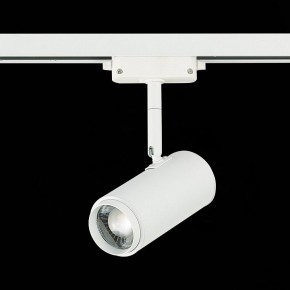 Светильник на штанге ST-Luce Zoom ST600.546.12 в Полевском - polevskoy.mebel24.online | фото 5