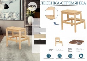 Табурет Стремянка в Полевском - polevskoy.mebel24.online | фото 4