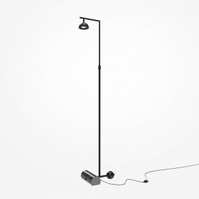 Торшер Maytoni Pikant MOD372FL-L10B3K в Полевском - polevskoy.mebel24.online | фото 2
