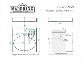 Умывальник над стиральной машиной (600*545*80) Смайл V55D1 (белый) с кронштейном без сифона (V55D1) в Полевском - polevskoy.mebel24.online | фото 2